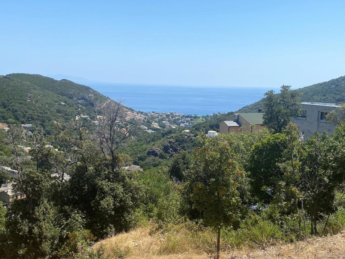 U Cavallu - Luxe Entre Mer Et Montagne Santa-Maria-di-Lota Exteriör bild
