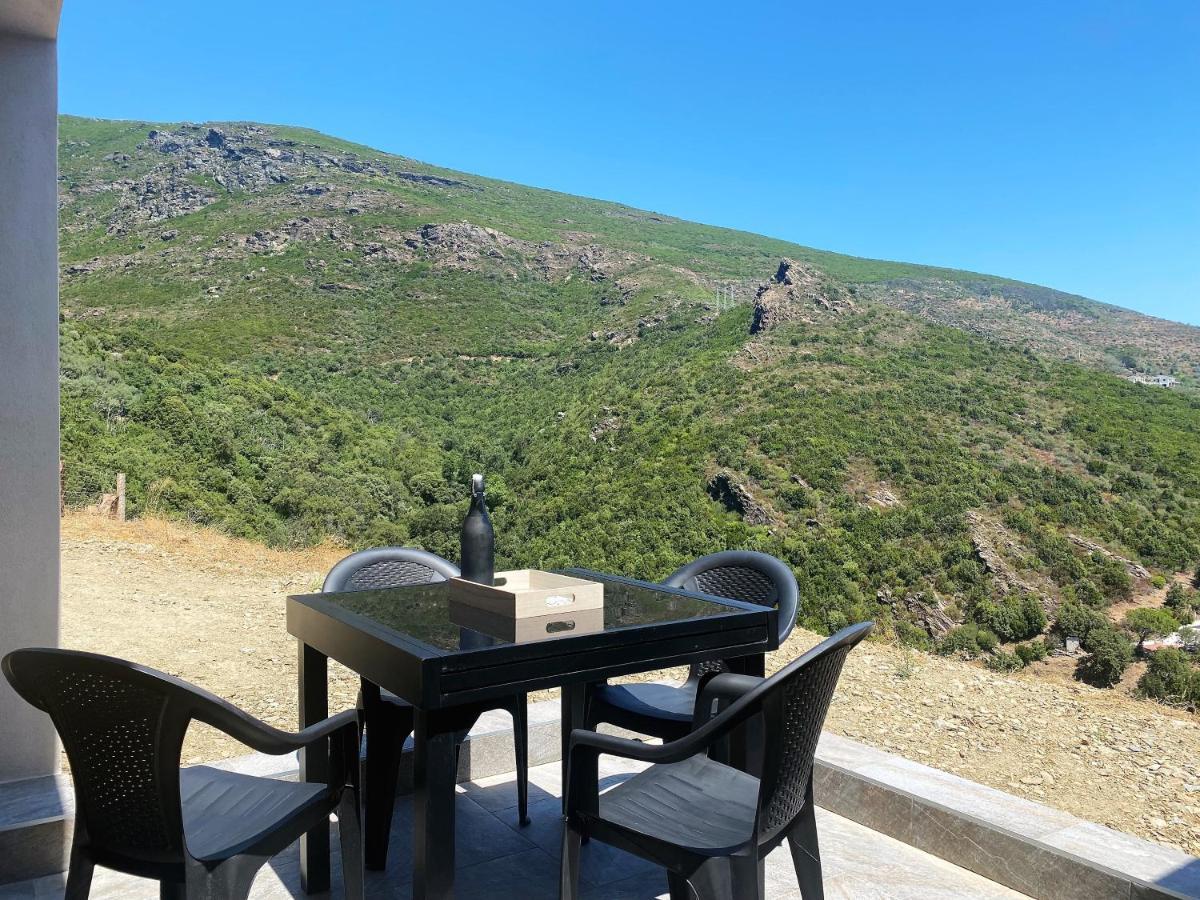 U Cavallu - Luxe Entre Mer Et Montagne Santa-Maria-di-Lota Exteriör bild