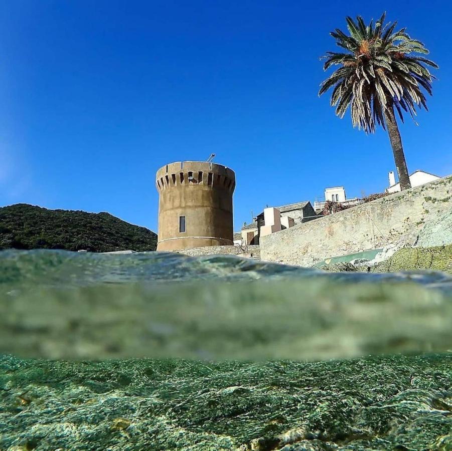 U Cavallu - Luxe Entre Mer Et Montagne Santa-Maria-di-Lota Exteriör bild